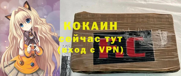 хмурый Алексеевка