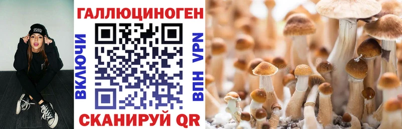 Галлюциногенные грибы MAGIC MUSHROOMS hydra tor Хотьково